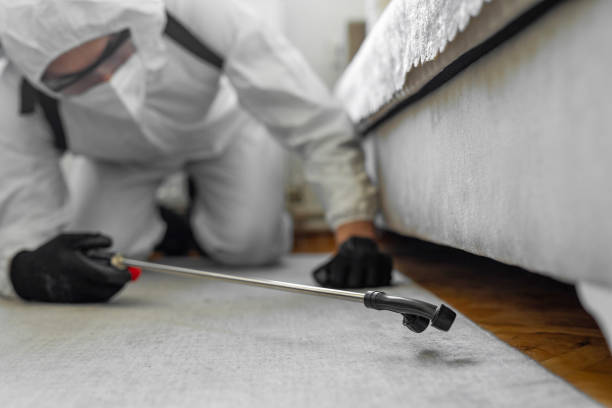 Professional Bed Bug Control technician working in Melville, NY