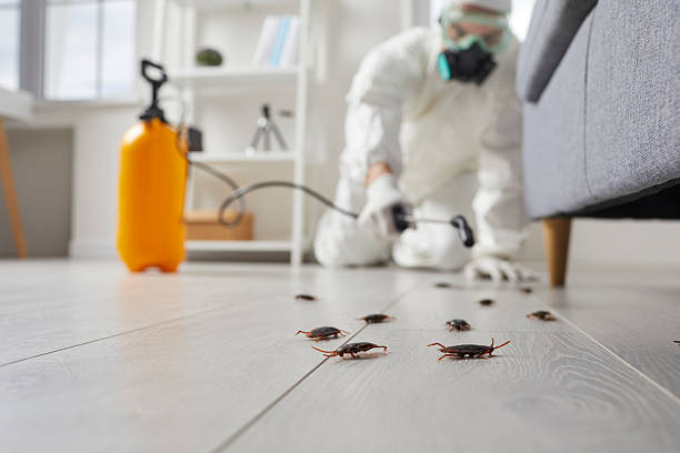 Trusted Fumigation Services service in Melville, NY - Nex Pest Control