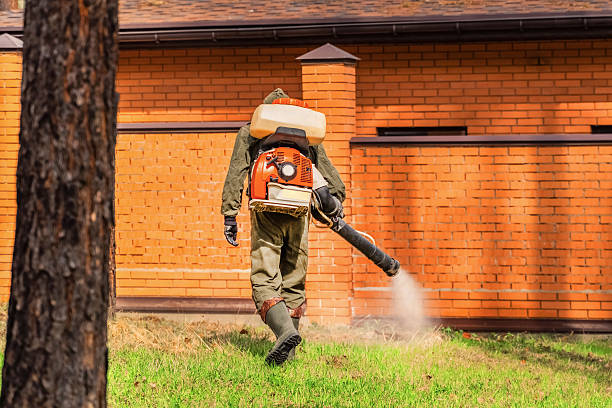 Trusted Mosquito Control service in Melville, NY - Nex Pest Control